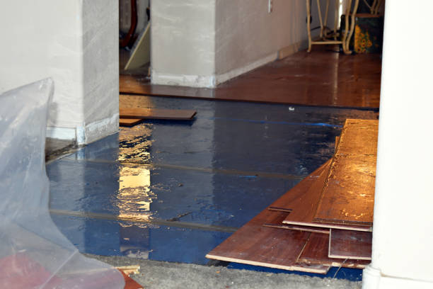 Professional Burst Pipe Cleanup technician working in Newton, UT